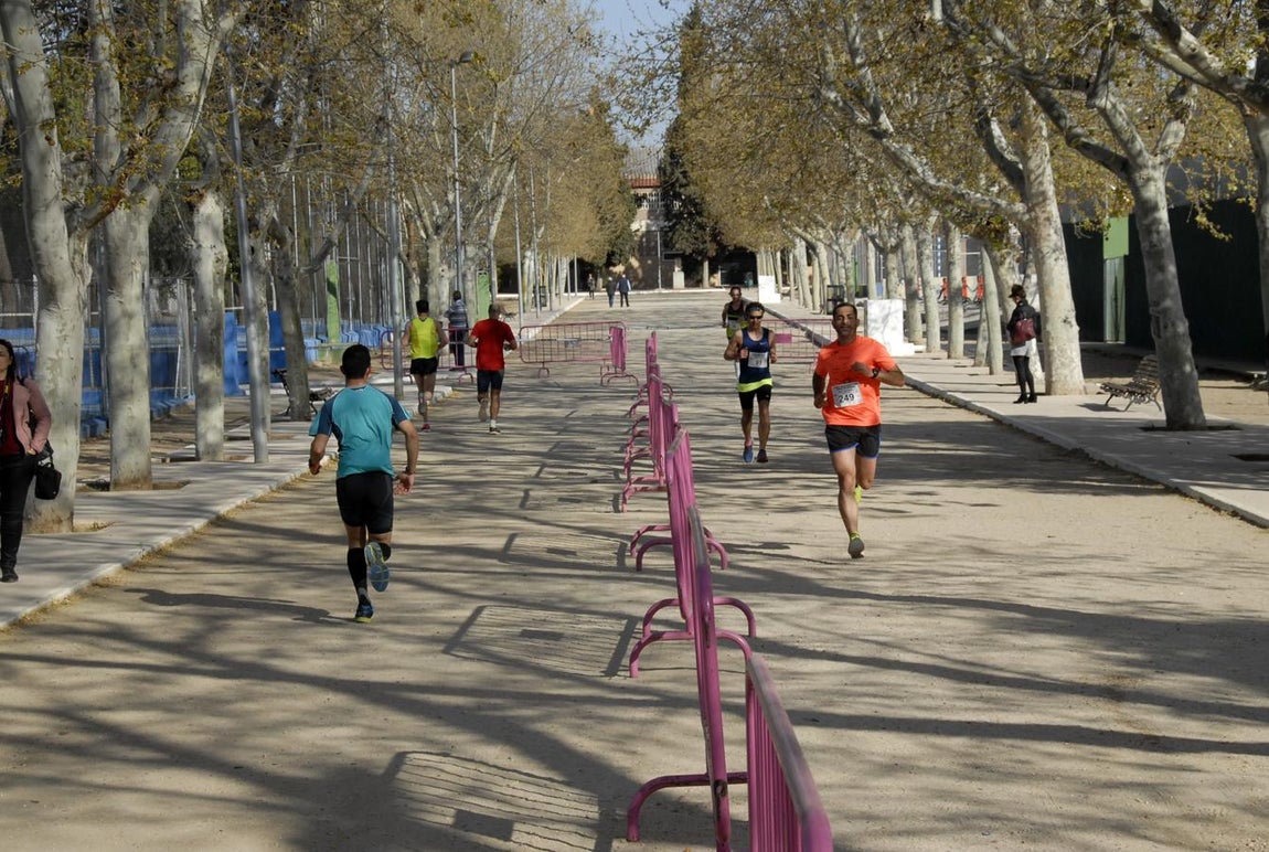 Rafael Martínez-Almeida y Cristina Paloma se alzan con la victoria en la II Media Maratón Toledo