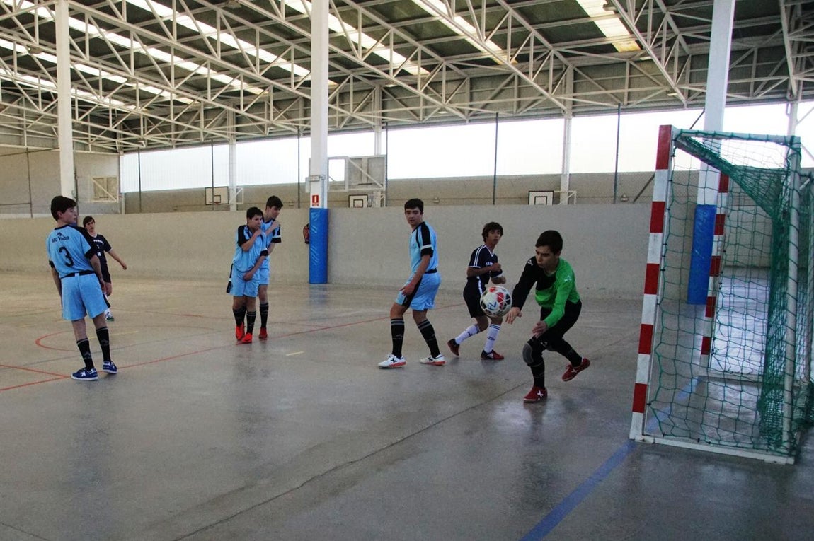 Las mejores imágenes del encuentro de fútsal entre el Fray Luis León A y el San Patricio Soto A. 