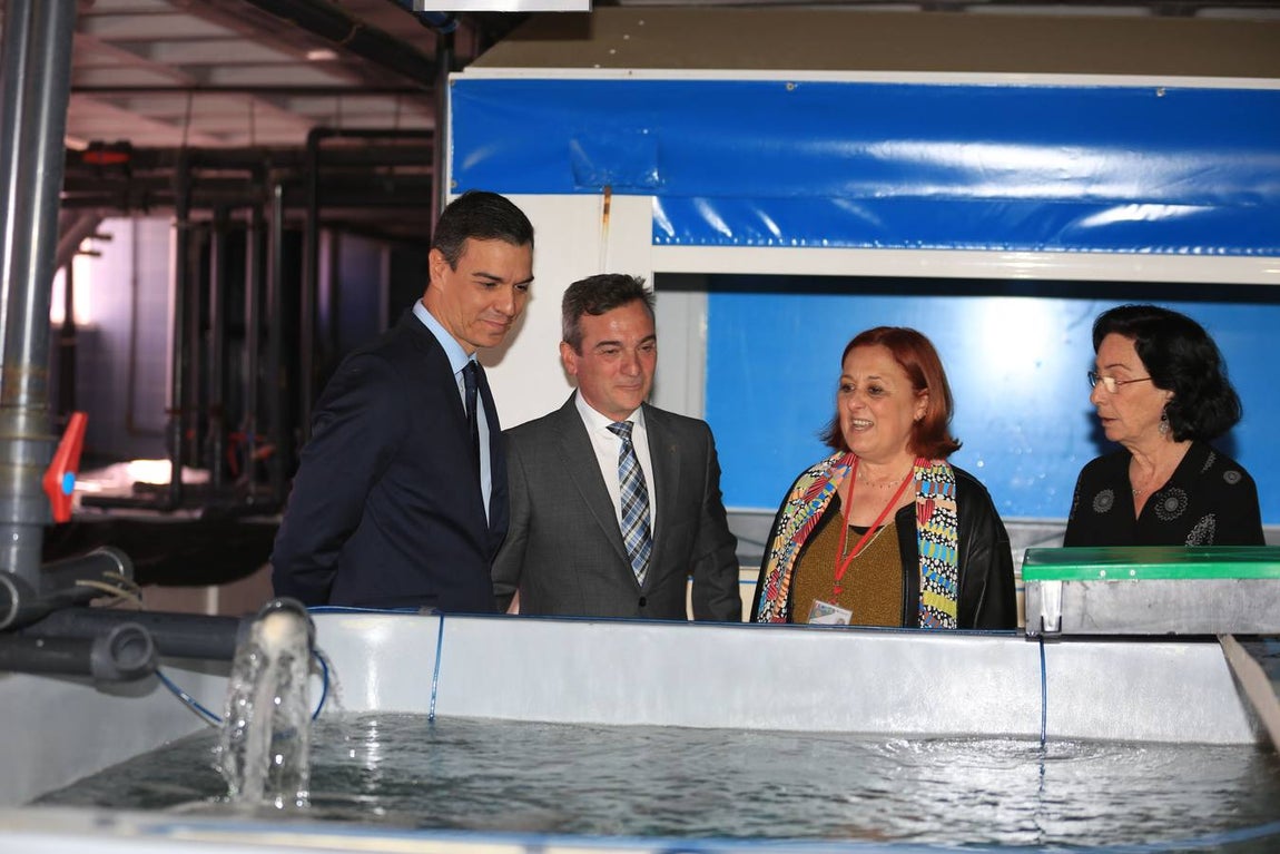 Las fotos de la visita de Pedro Sánchez a Cádiz