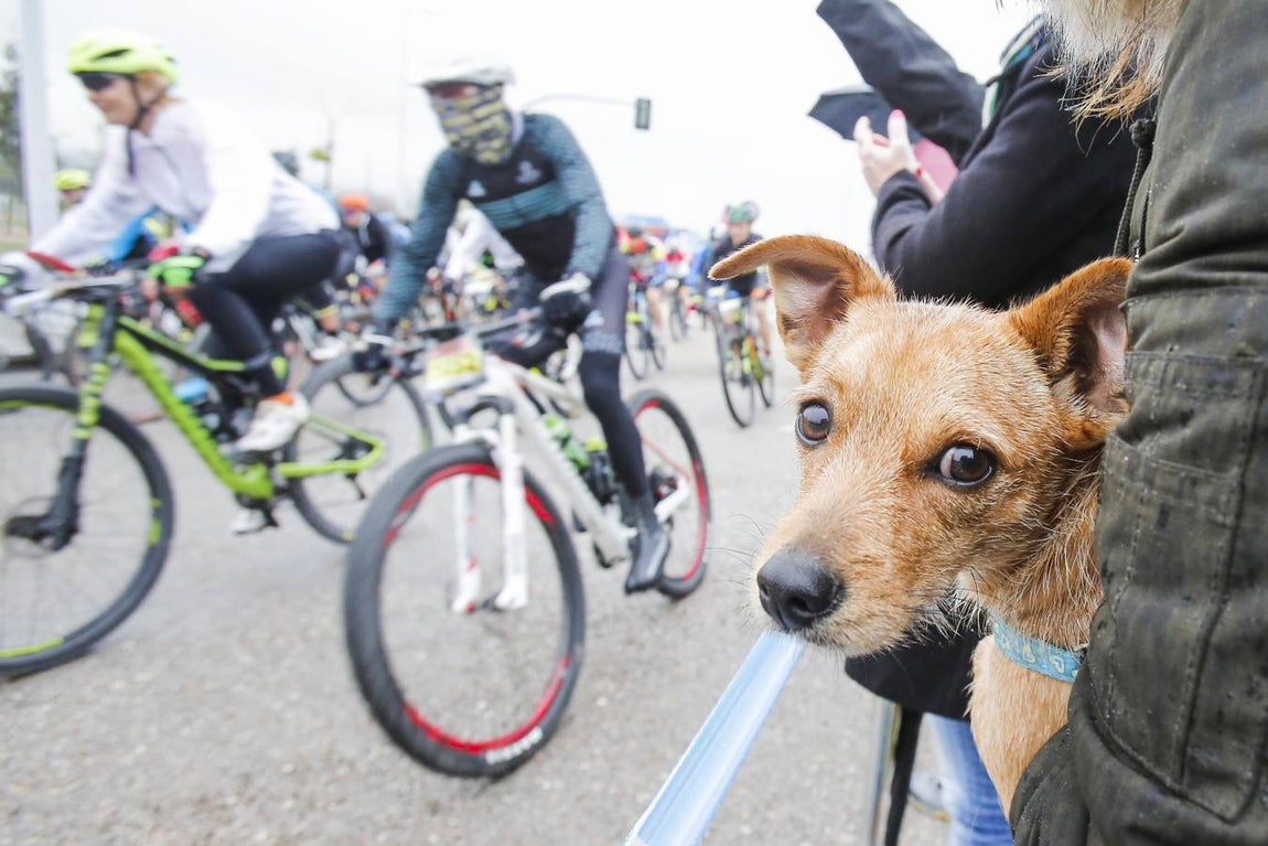 La XV Guzmán el Bueno, en imágenes