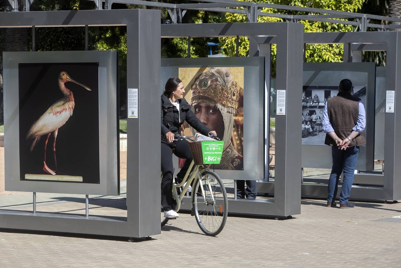 Las últimas décadas de la fotografía en España, en imágenes