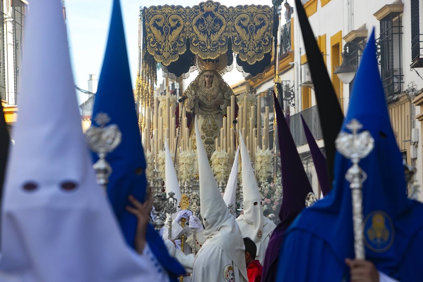 La procesión de la Borriquita de Córdoba, en imágenes