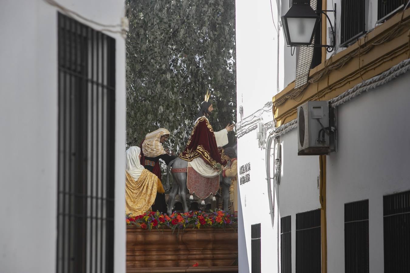 La procesión de la Borriquita de Córdoba, en imágenes