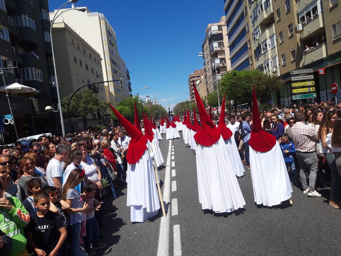 FOTOS: Borriquita en la Semana Santa de Cádiz 2019. Domingo de Ramos