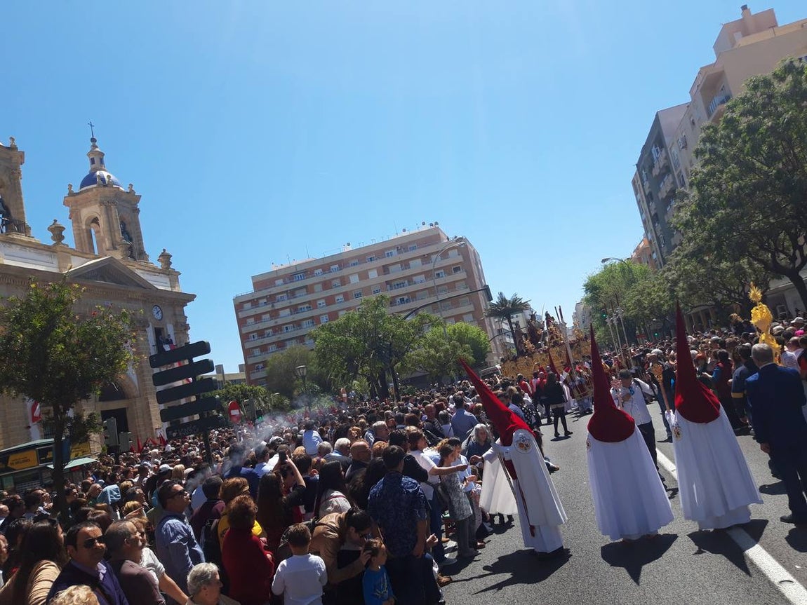 FOTOS: Borriquita en la Semana Santa de Cádiz 2019. Domingo de Ramos
