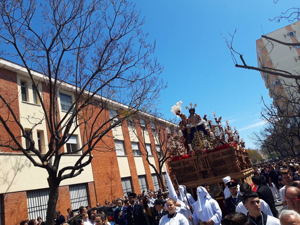 FOTOS: Borriquita en la Semana Santa de Cádiz 2019. Domingo de Ramos