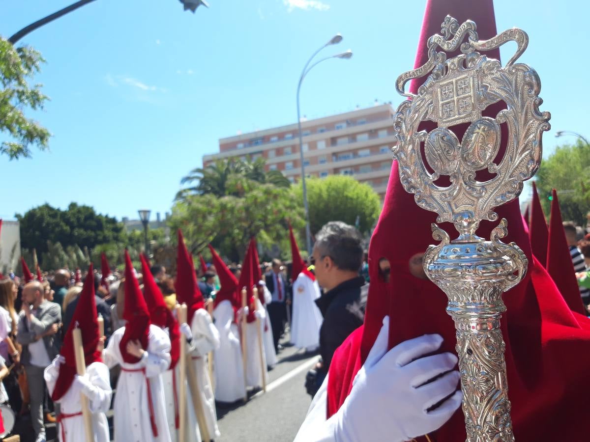 FOTOS: Borriquita en la Semana Santa de Cádiz 2019. Domingo de Ramos