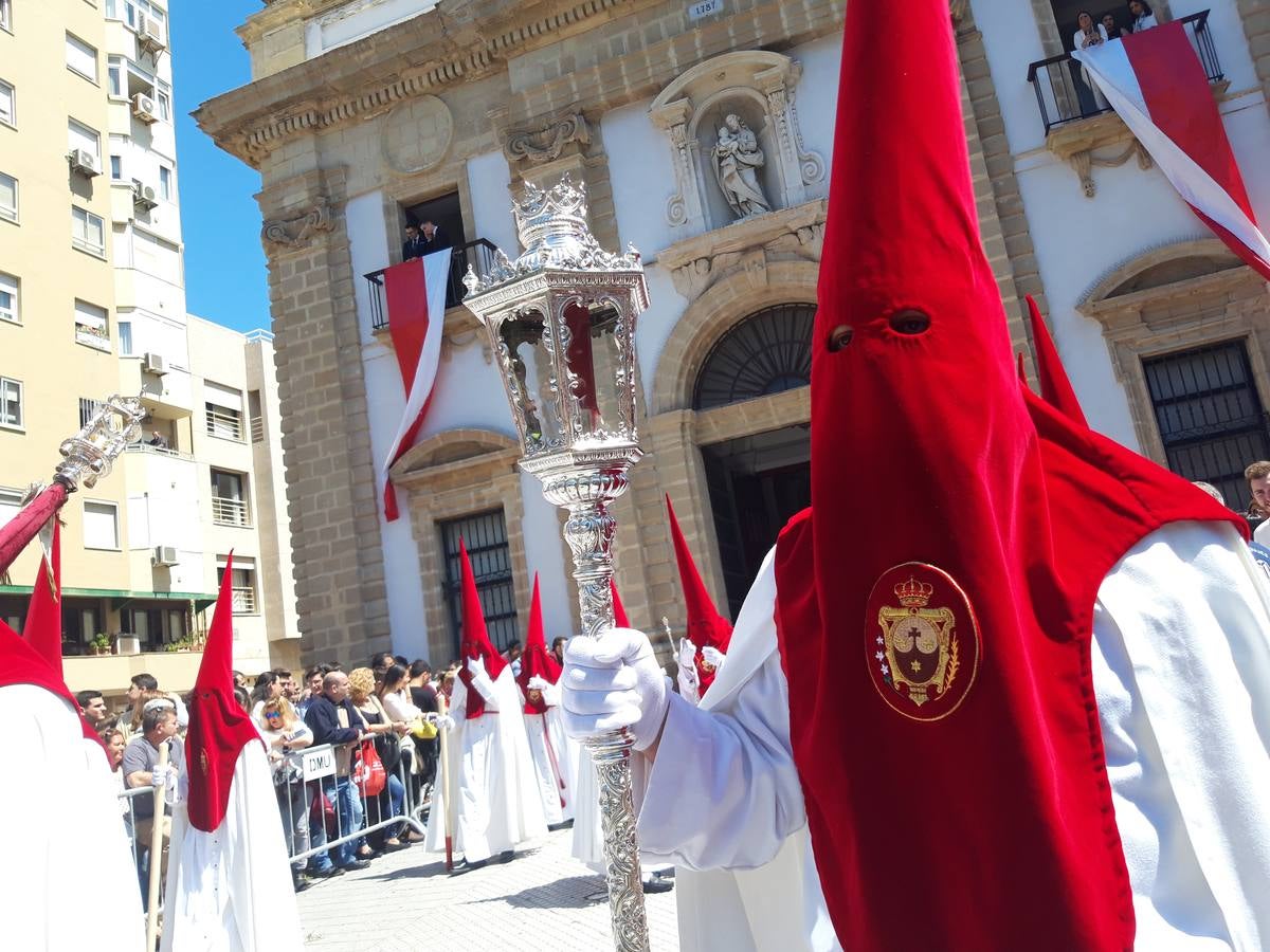 FOTOS: Borriquita en la Semana Santa de Cádiz 2019. Domingo de Ramos