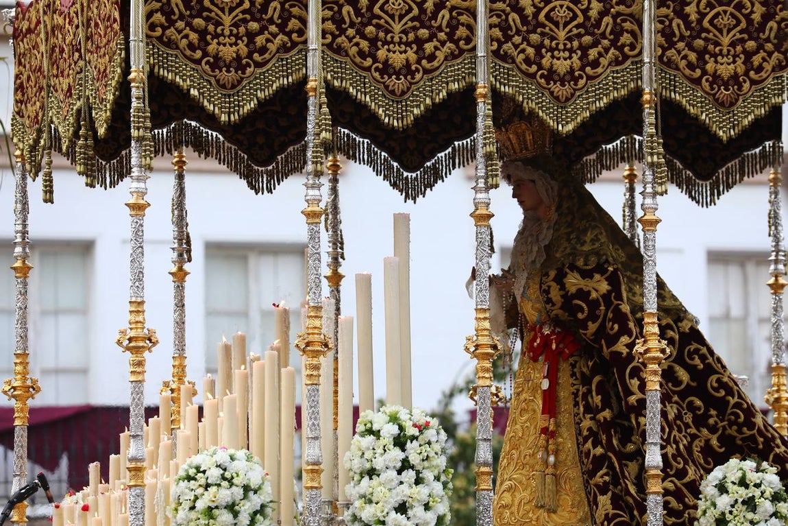 FOTOS: Humildad y Paciencia en la Semana Santa de Cádiz. Domingo de Ramos