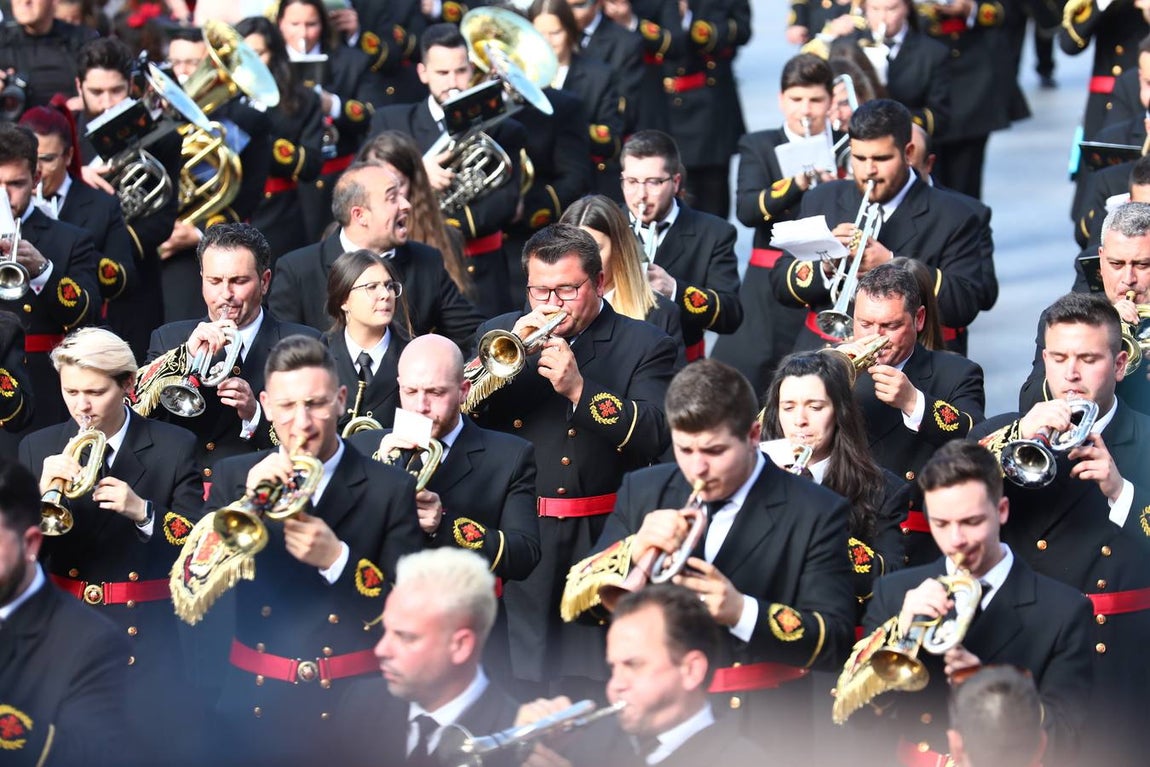 FOTOS: Las Penas en la Semana Santa de Cádiz 2019. Domingo de Ramos