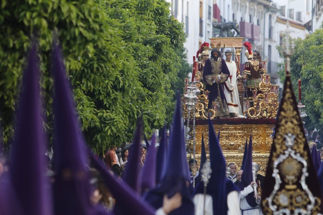 La procesión del Císter de Córdoba, en imágenes