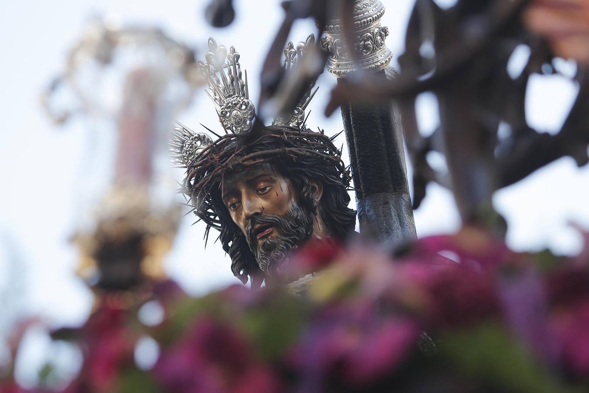 La procesión de la Santa Faz de Córdoba, en imágenes