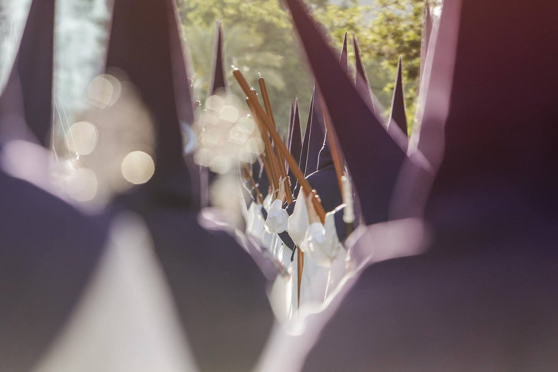 La procesión de la Santa Faz de Córdoba, en imágenes