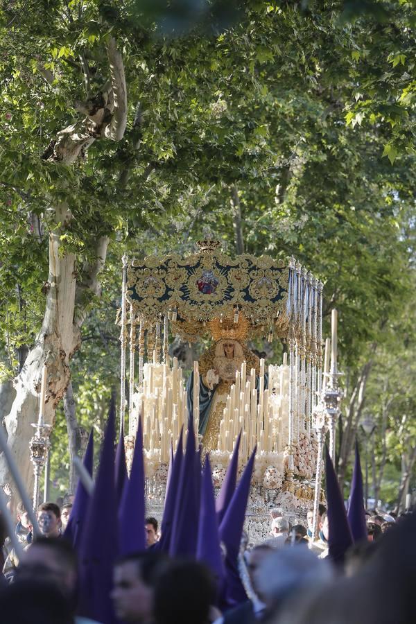 La procesión de la Santa Faz de Córdoba, en imágenes
