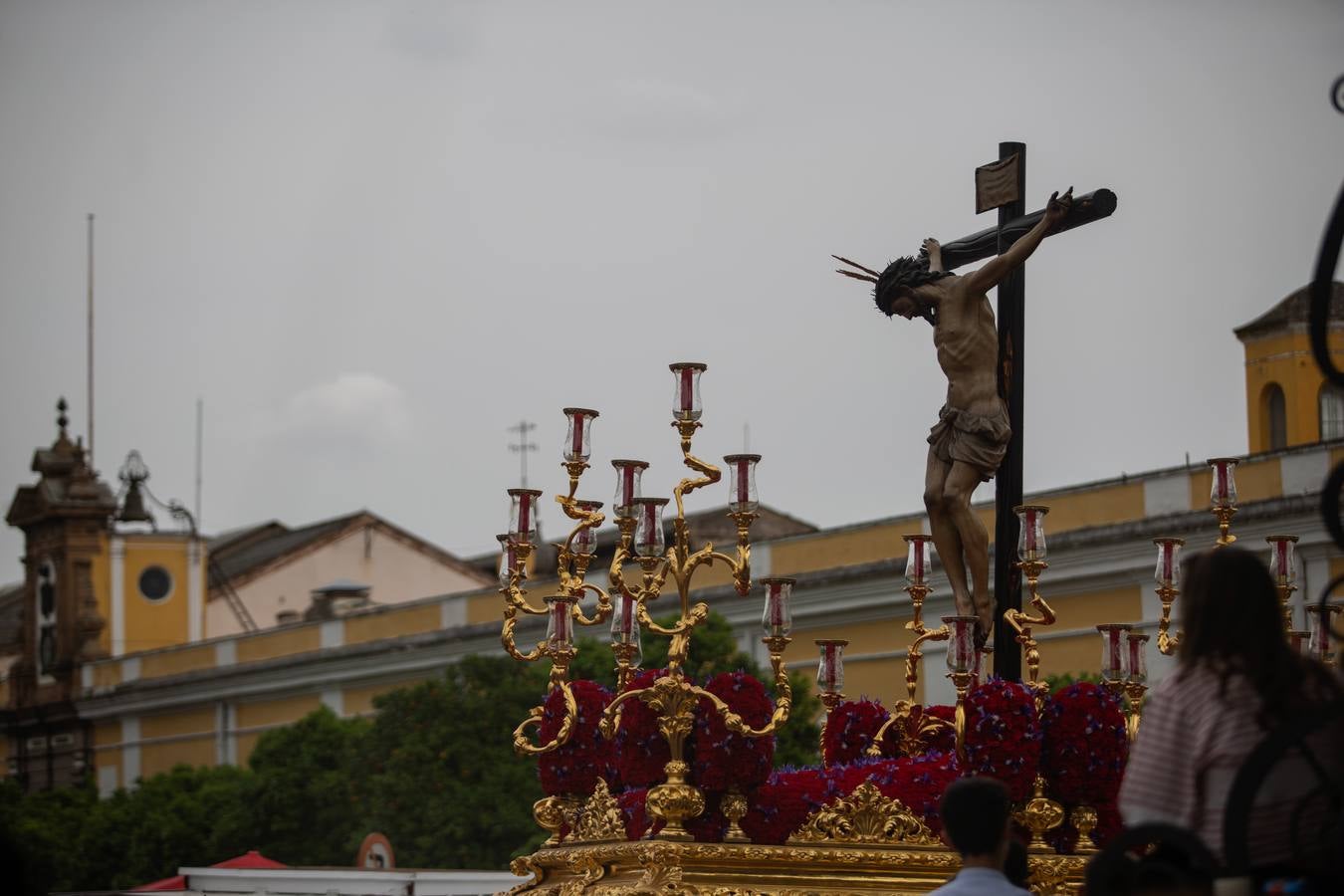 Impresionantes imágenes de la hermandad de San Bernardo