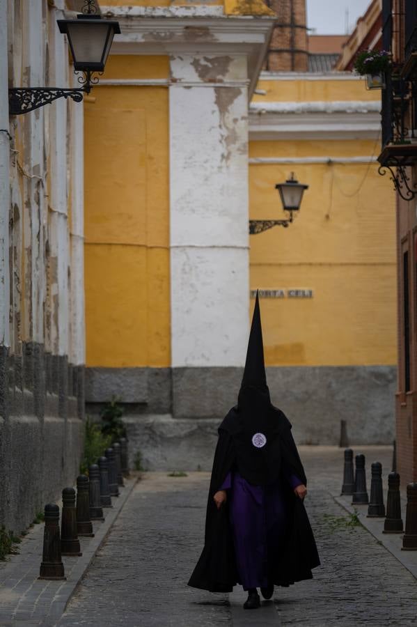 Impresionantes imágenes de la hermandad de San Bernardo