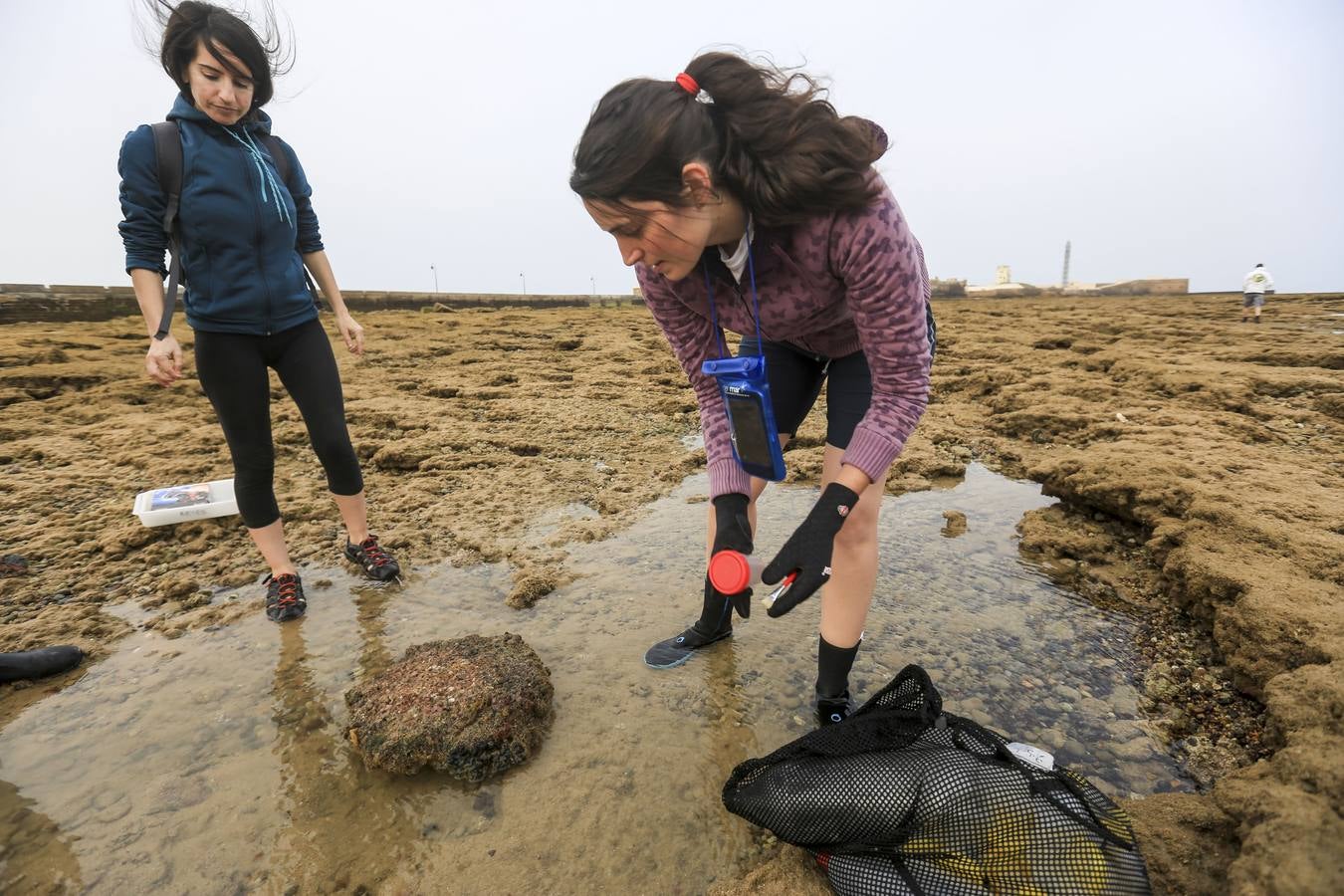 La biodiversidad de La Caleta