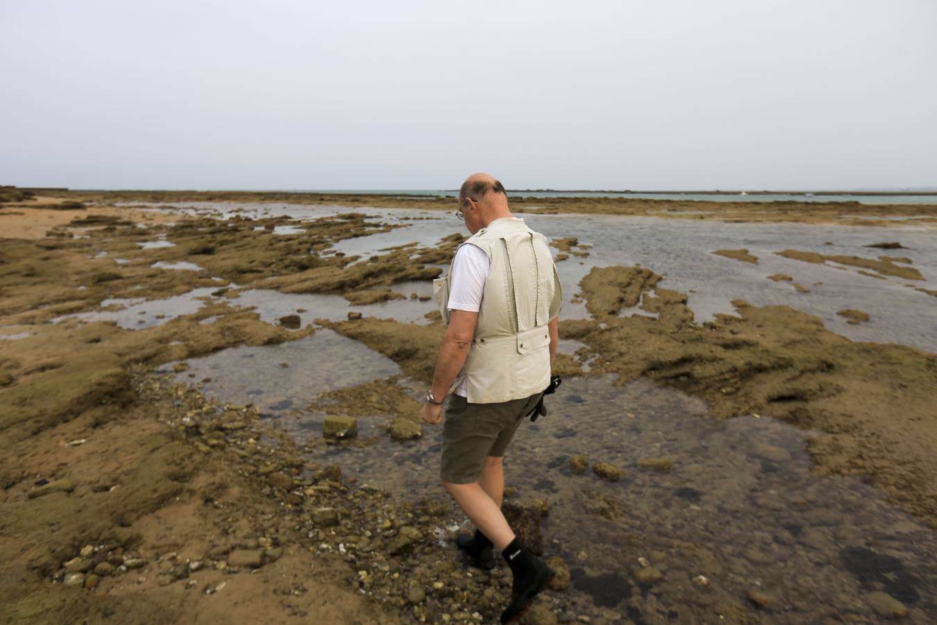 La biodiversidad de La Caleta