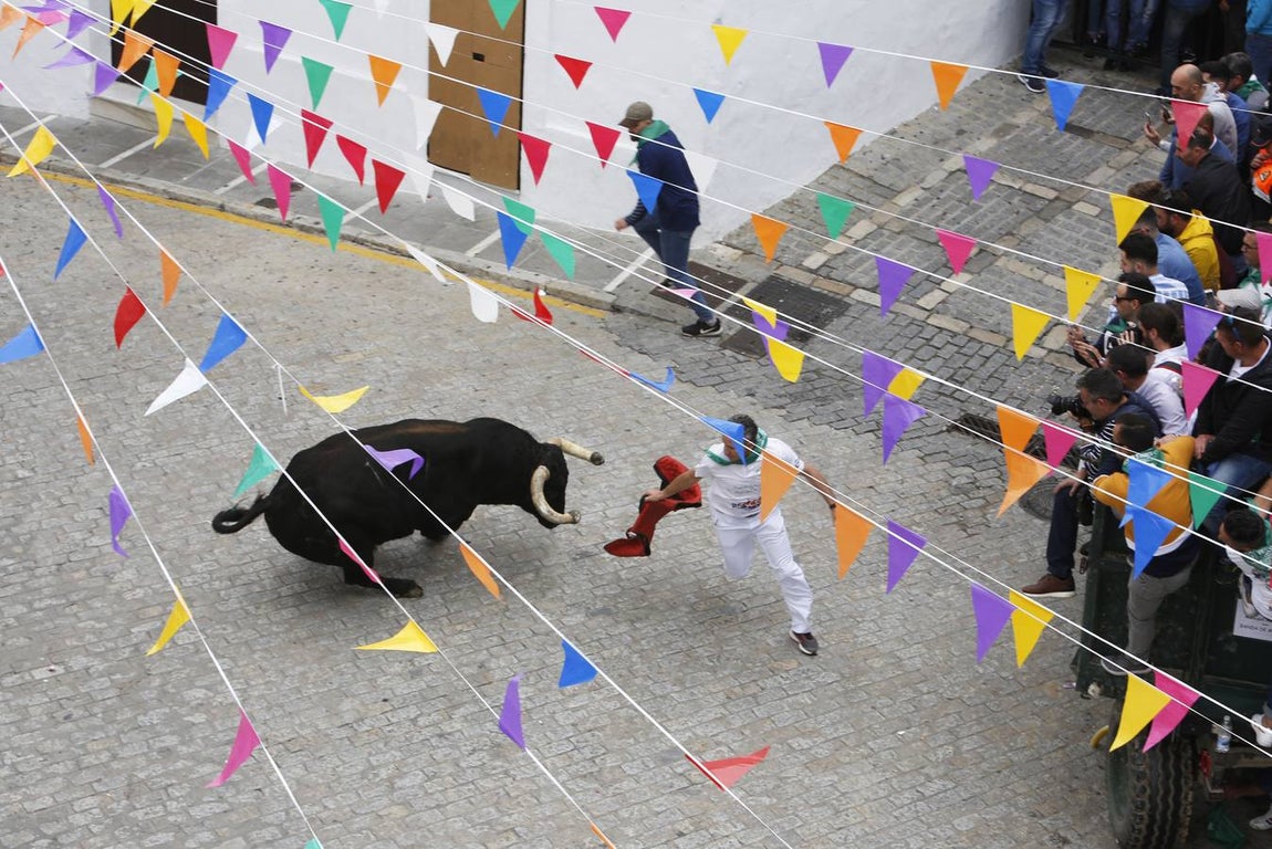 FOTOS: Toro &#039;embolao&#039; de Vejer 2019. Domingo de Resurrección