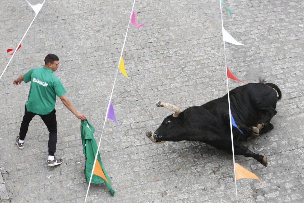 FOTOS: Toro &#039;embolao&#039; de Vejer 2019. Domingo de Resurrección