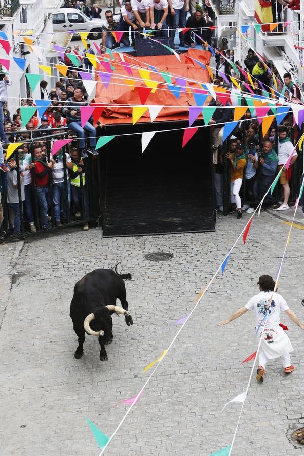 FOTOS: Toro &#039;embolao&#039; de Vejer 2019. Domingo de Resurrección