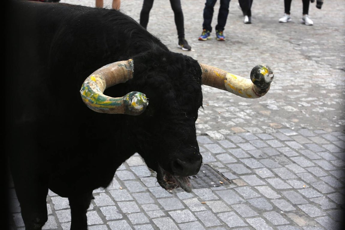 FOTOS: Toro &#039;embolao&#039; de Vejer 2019. Domingo de Resurrección