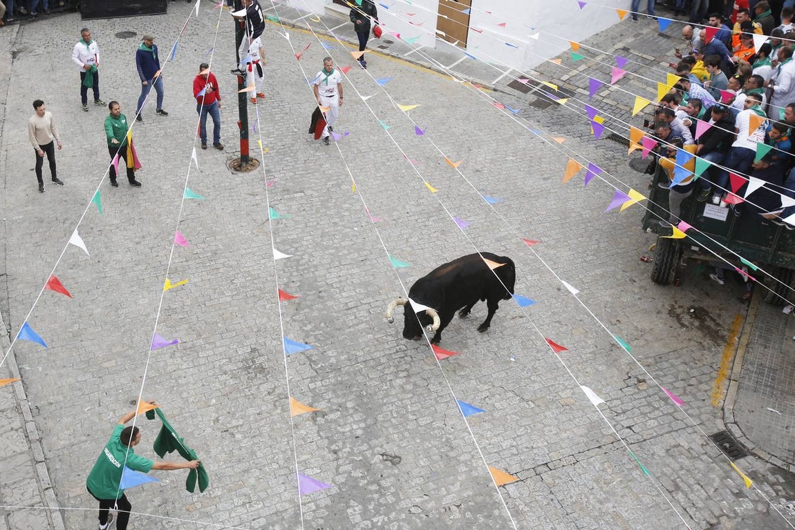 FOTOS: Toro &#039;embolao&#039; de Vejer 2019. Domingo de Resurrección