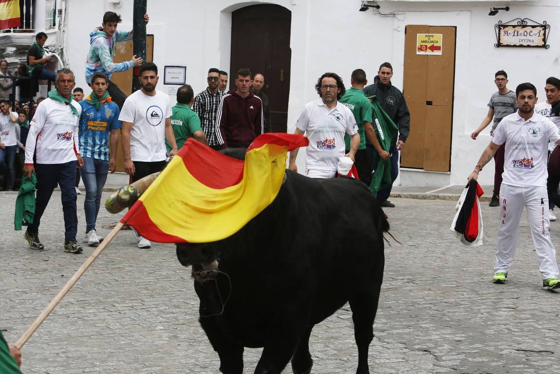 FOTOS: Toro &#039;embolao&#039; de Vejer 2019. Domingo de Resurrección