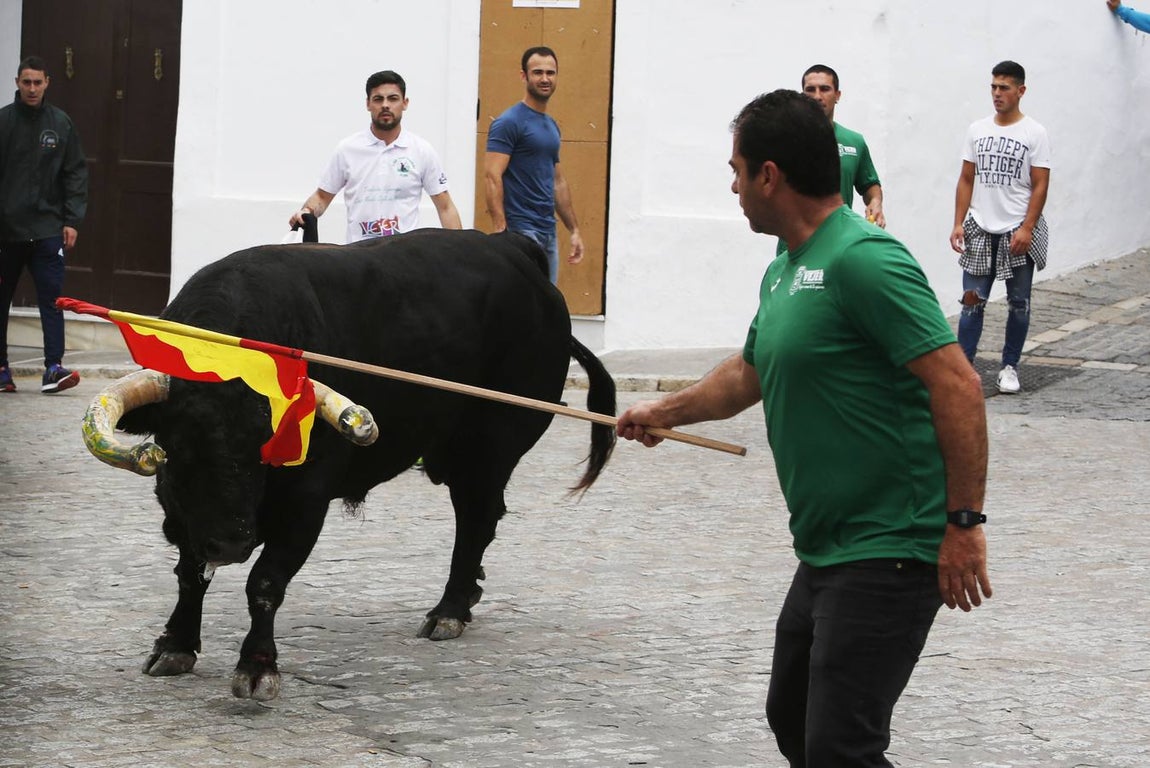 FOTOS: Toro &#039;embolao&#039; de Vejer 2019. Domingo de Resurrección