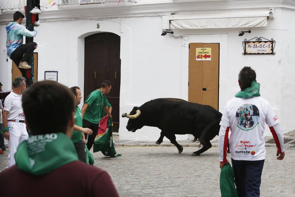 FOTOS: Toro &#039;embolao&#039; de Vejer 2019. Domingo de Resurrección