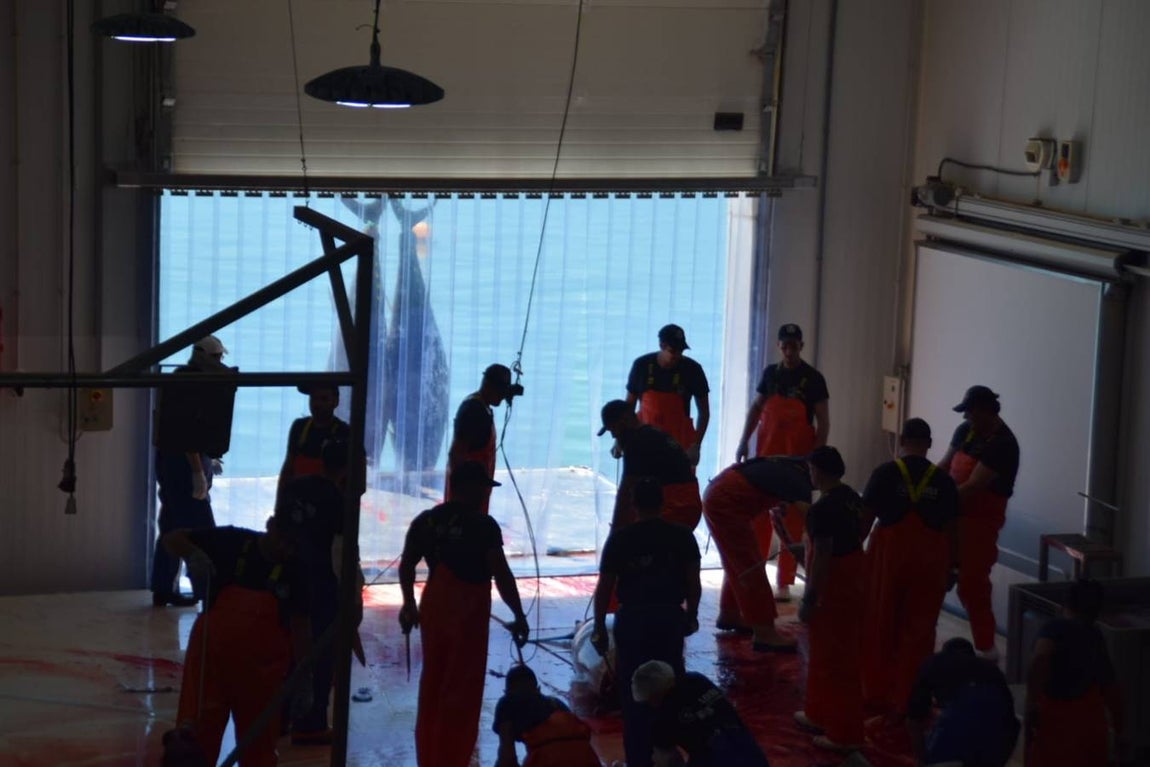 FOTOS: Vuelven los atunes con la primera &#039;levantá&#039; de 2019