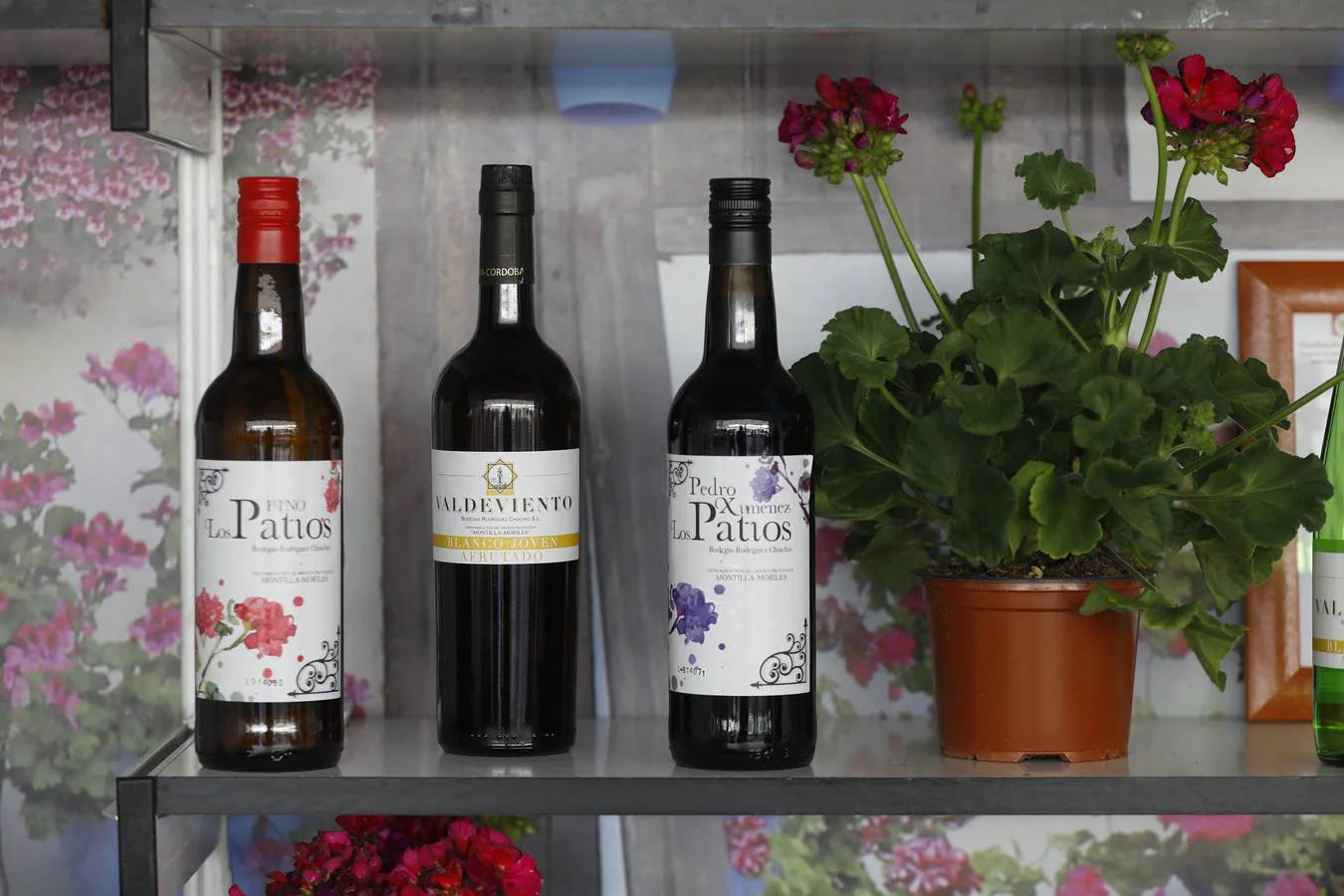 Las bodegas de la Cata del Vino Montilla-Moriles, en imágenes