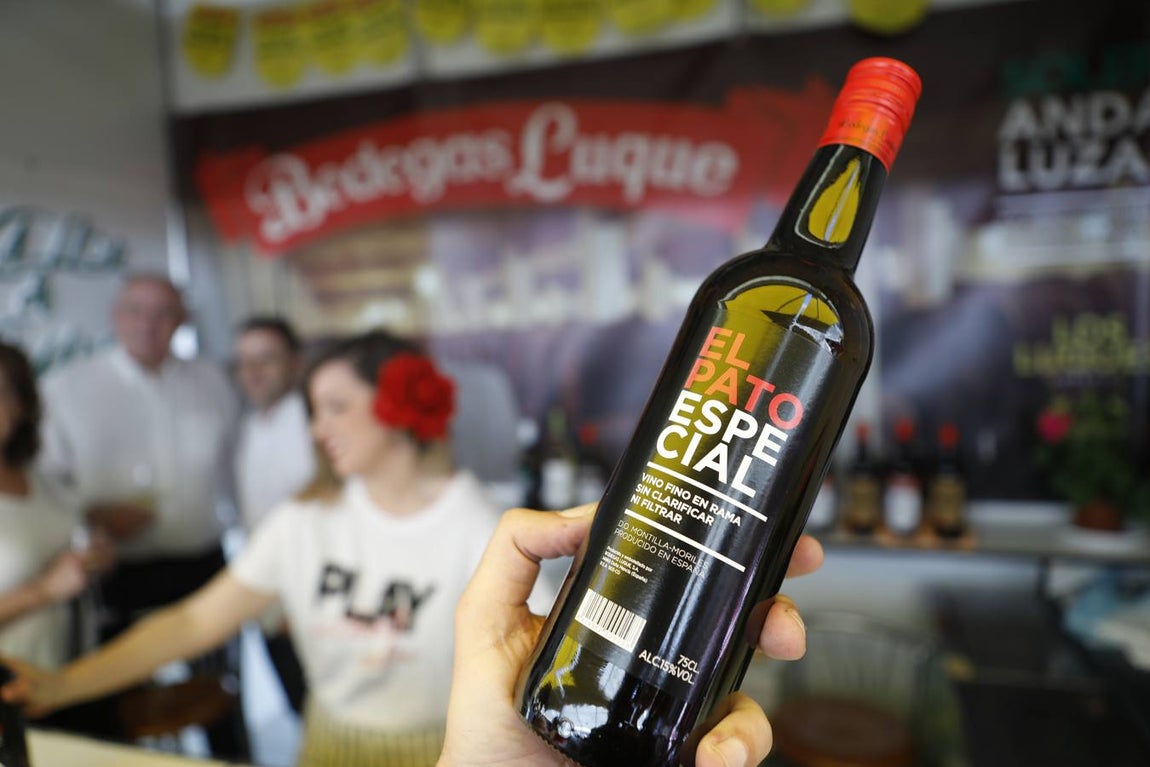 Las bodegas de la Cata del Vino Montilla-Moriles, en imágenes