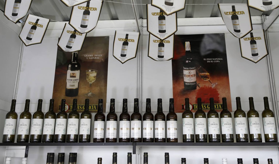 Las bodegas de la Cata del Vino Montilla-Moriles, en imágenes