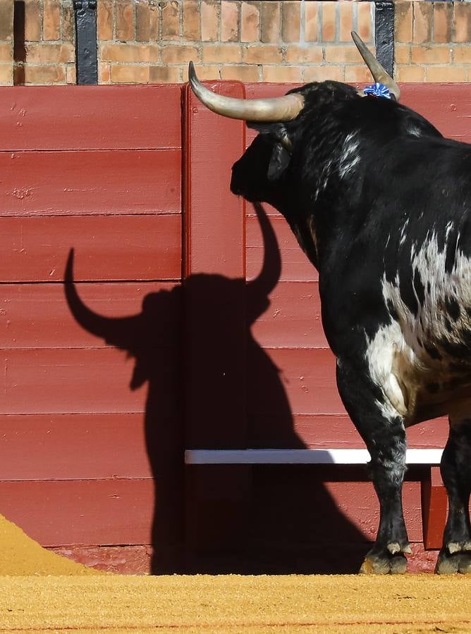 Detalles que dejó la tarde