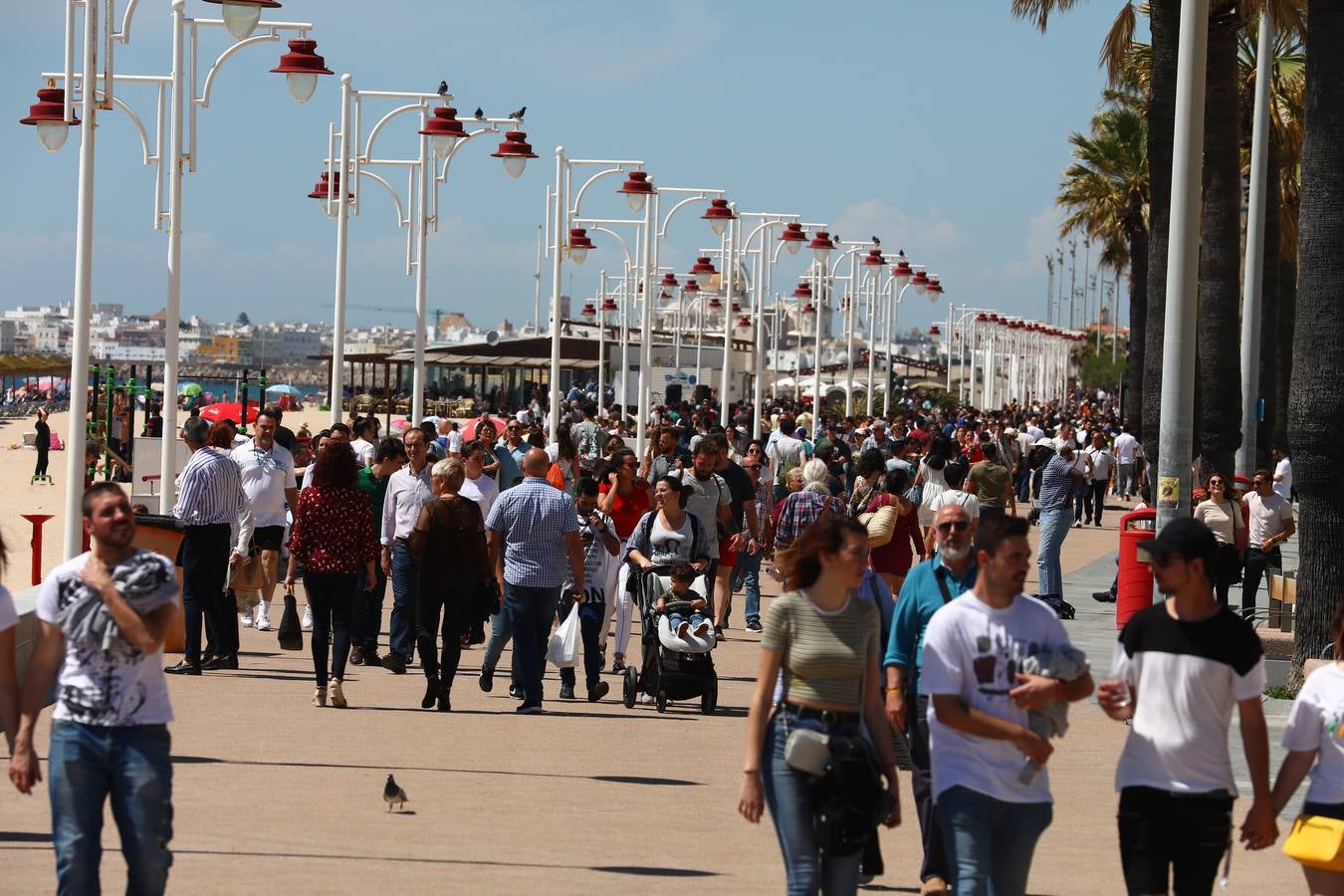 Batalla de coplas o carnaval en bañador