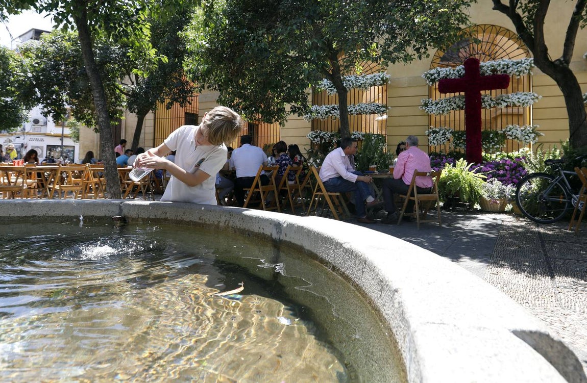 El viernes en las Cruces de Mayo de Córdoba, en imágenes
