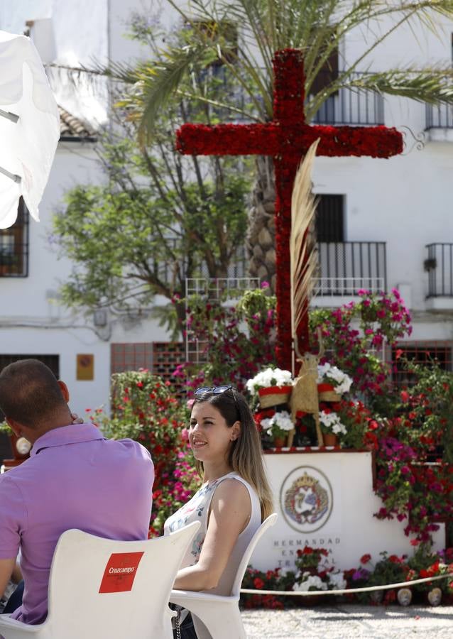 El viernes en las Cruces de Mayo de Córdoba, en imágenes