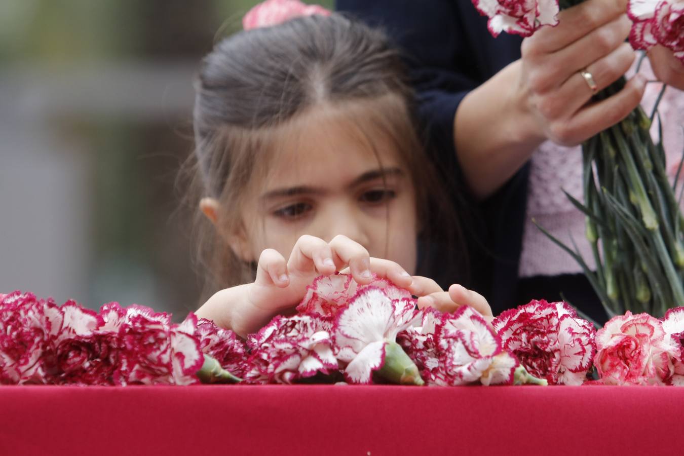 La Batalla de las Flores de Córdoba, en imágenes