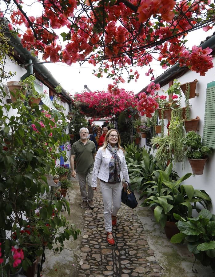 Los detalles del patio de Marroquíes, 6 en Córdoba, en imágenes