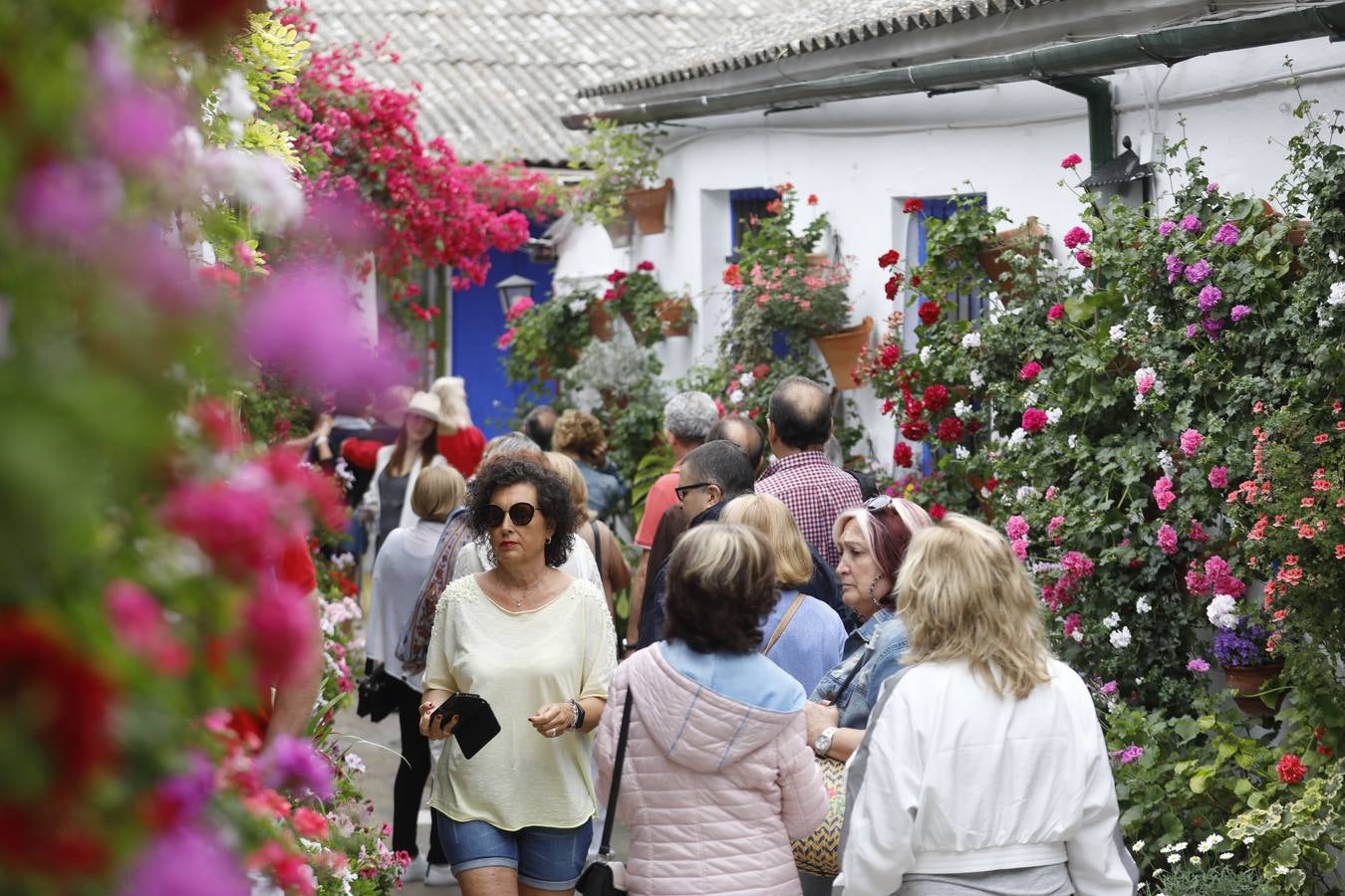 Los detalles del patio de Marroquíes, 6 en Córdoba, en imágenes