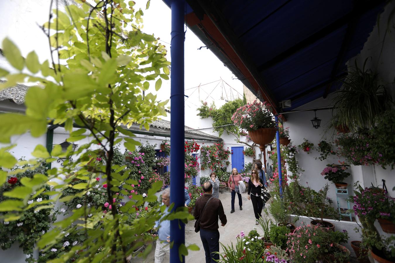 Los detalles del patio de Marroquíes, 6 en Córdoba, en imágenes