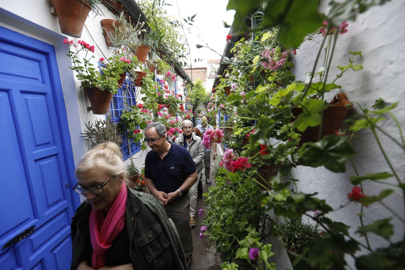 Los detalles del patio de Marroquíes, 6 en Córdoba, en imágenes