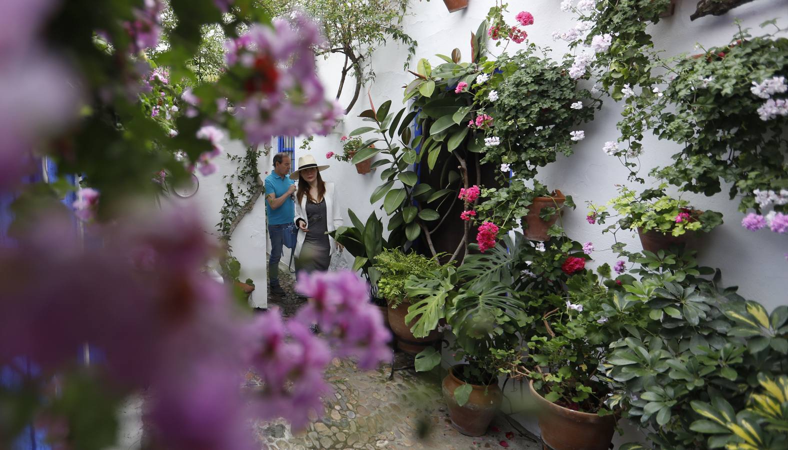 Los detalles del patio de Marroquíes, 6 en Córdoba, en imágenes