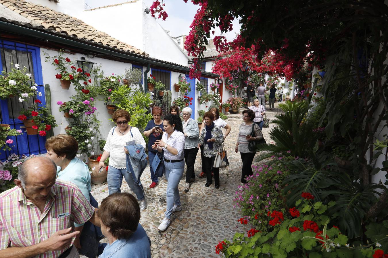 Los detalles del patio de Marroquíes, 6 en Córdoba, en imágenes