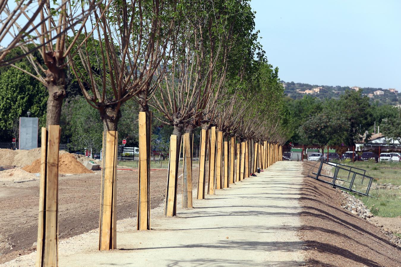 Las obras de la senda de Vega Baja, en imágenes