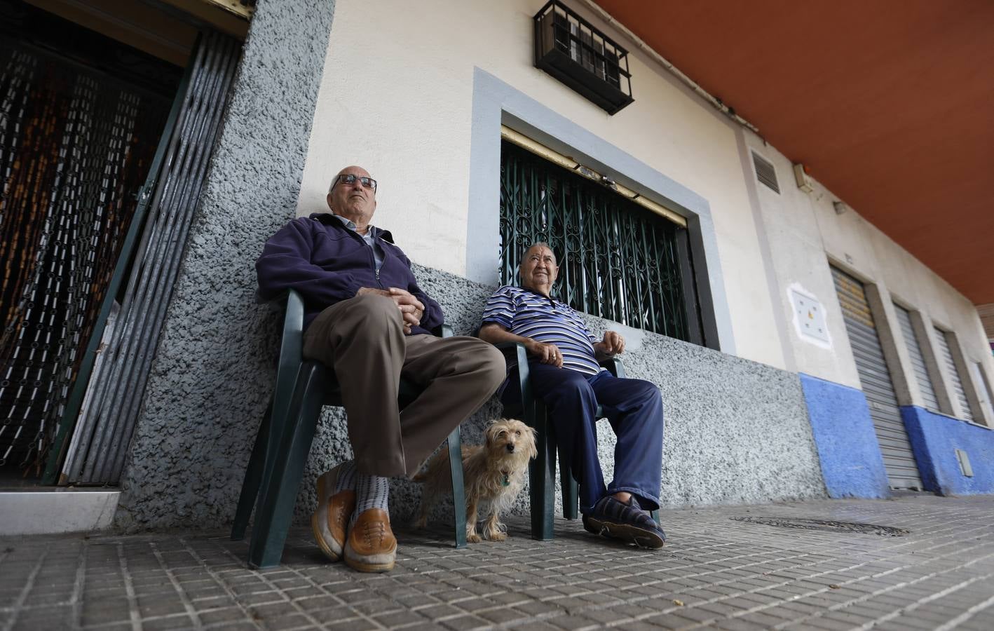 Un paseo por el barrio de las Palmeras de Córdoba, en imágenes