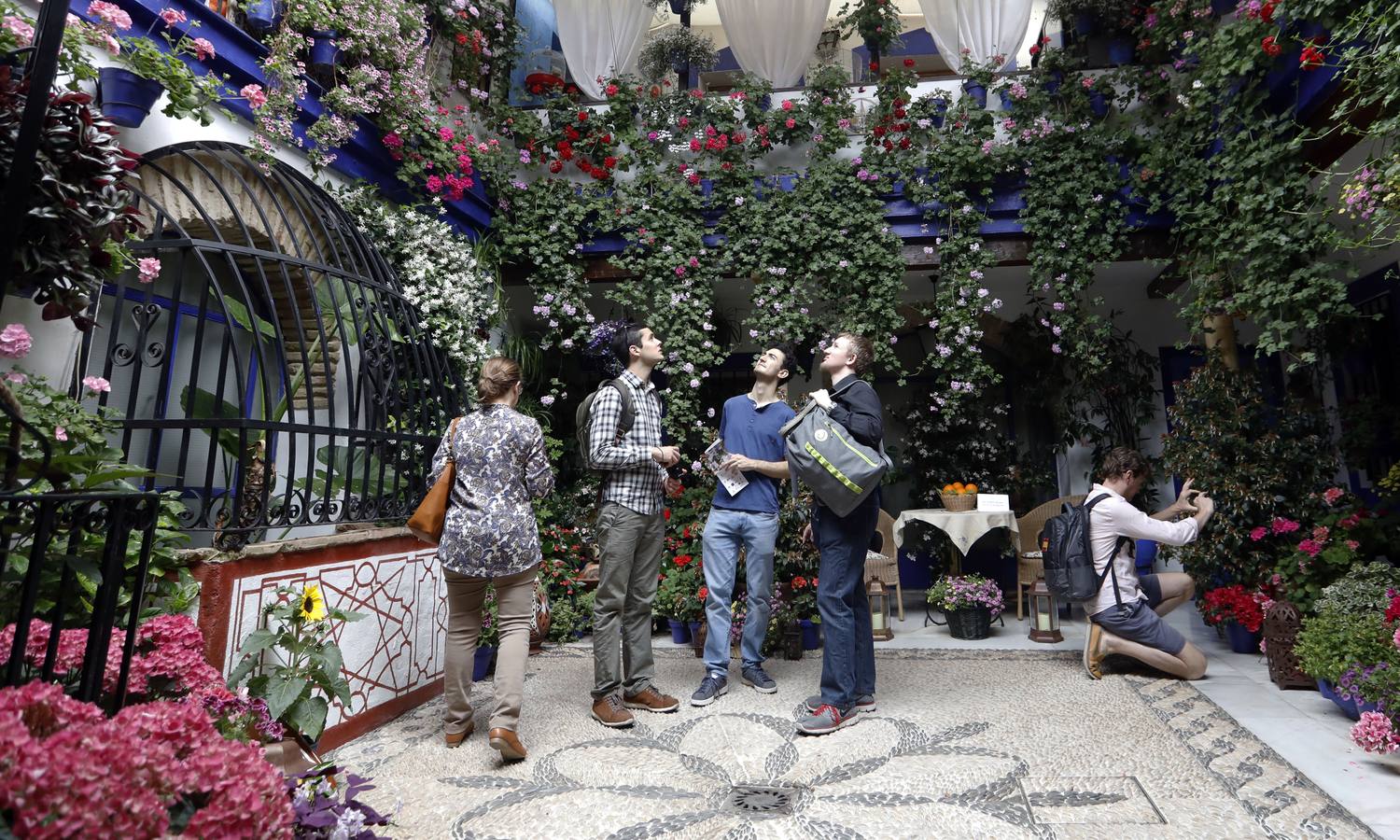 La belleza de los Patios de Córdoba en San Pedro, en imágenes