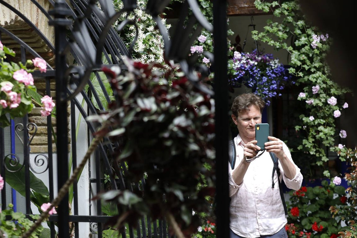 La belleza de los Patios de Córdoba en San Pedro, en imágenes