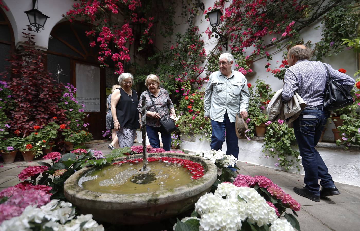 La belleza de los Patios de Córdoba en San Pedro, en imágenes